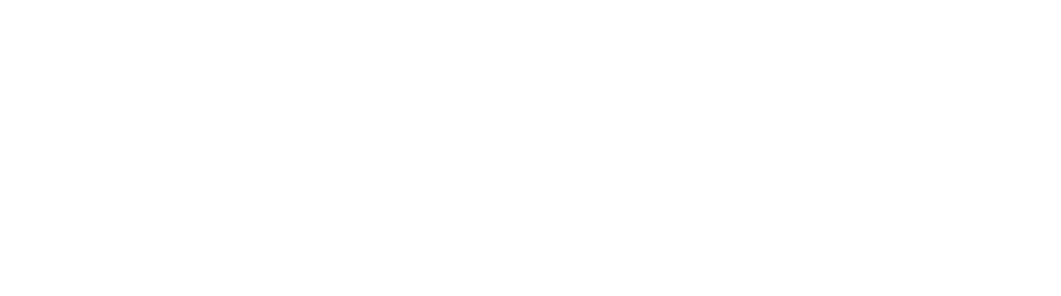 Element Garage Door & Gate Repair Services Of Lake Forest - Logo White